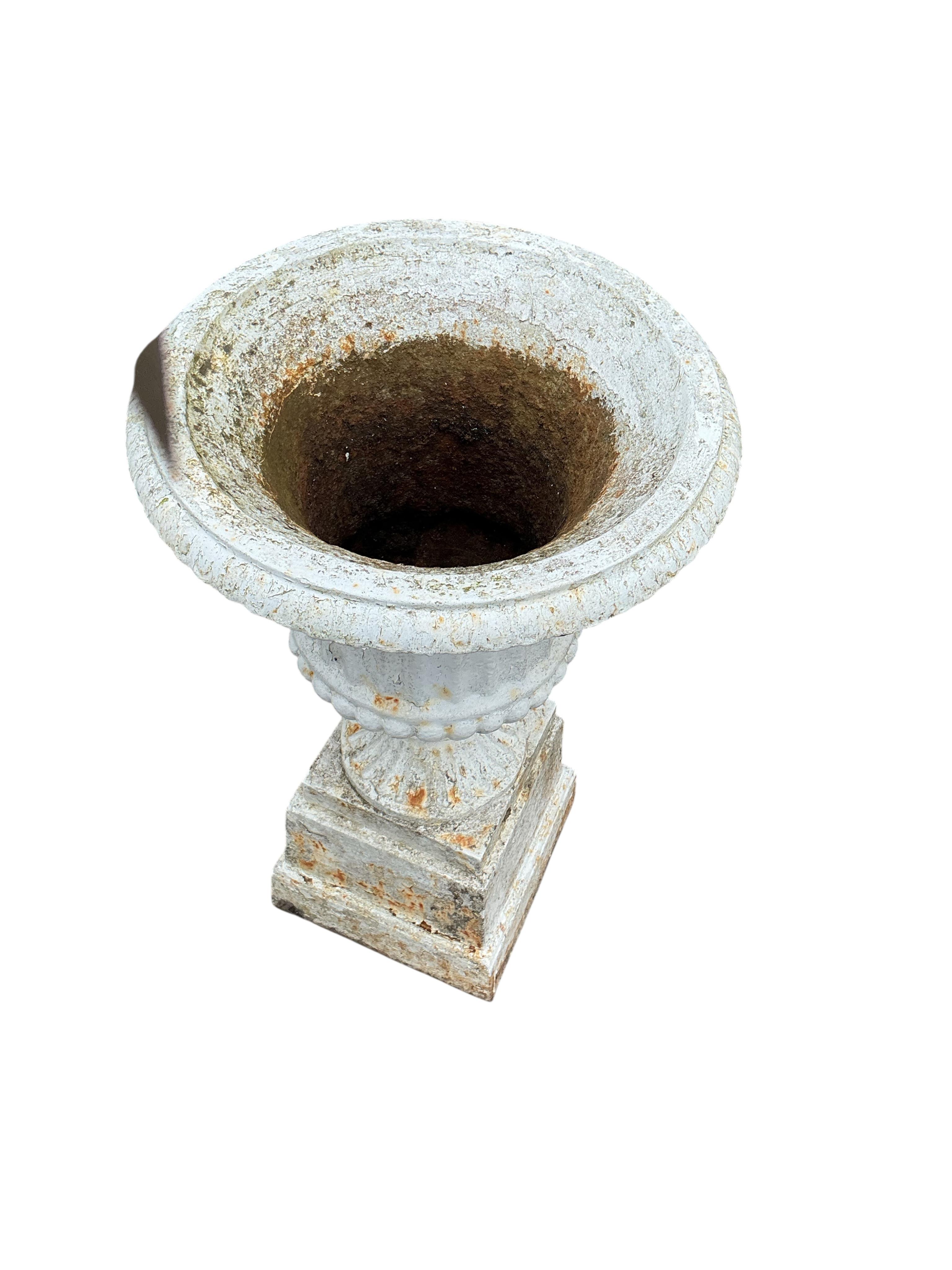A pair of Victorian cast iron campana garden urns, on square bases, diameter 38cm, height 69cm
